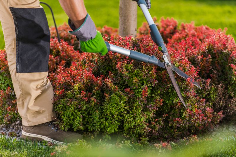 Shrub Trimming in Aiken, SC