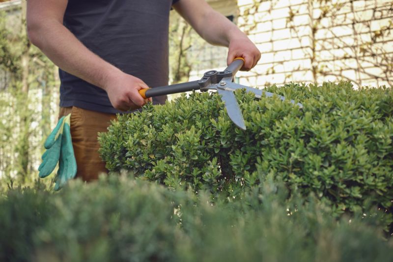 Shrub Pruning Service