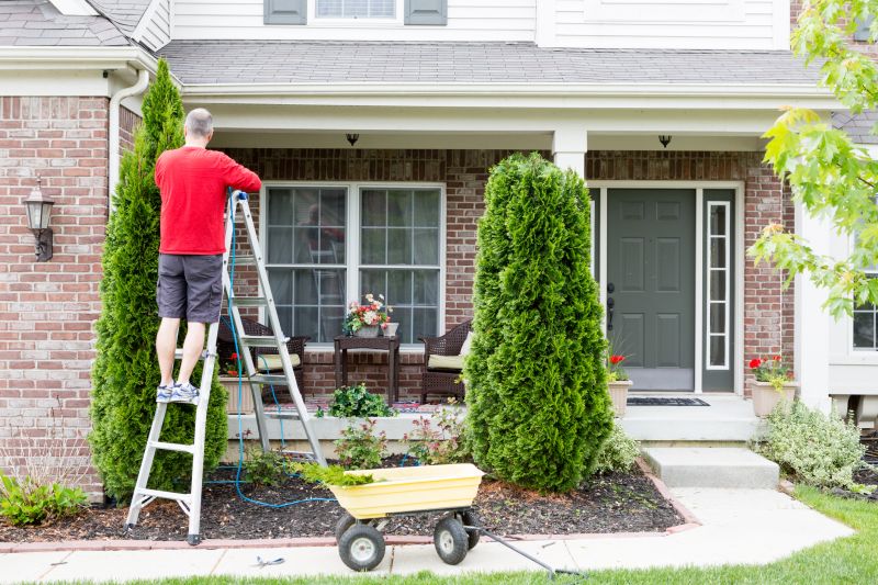 Arborvitae Pruning in Aiken, SC