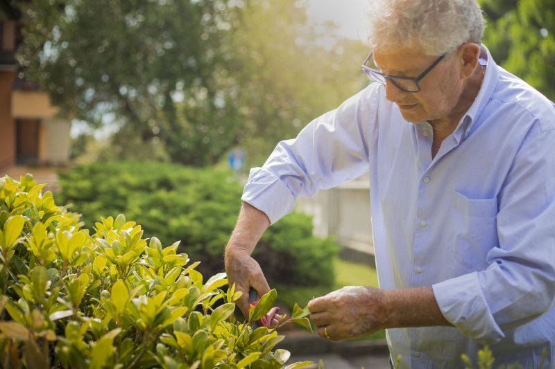 Bush Trimming Service in Aiken, SC