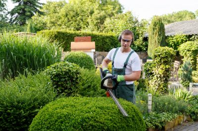 Commercial Shrub Trimming in Aiken, SC