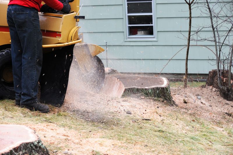 Commercial Stump Grinding in Doylestown, PA