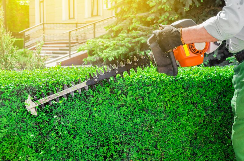 Evergreen Hedge Trimming in Aiken, SC