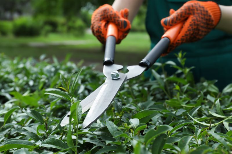 Hedge Pruning in Ventura County, CA