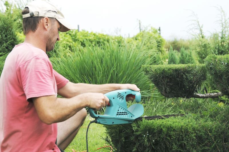 Hedge Shaping Service in Ventura County, CA