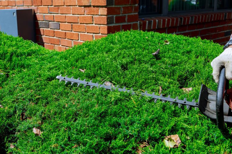Hedge Trimming in Aiken, SC