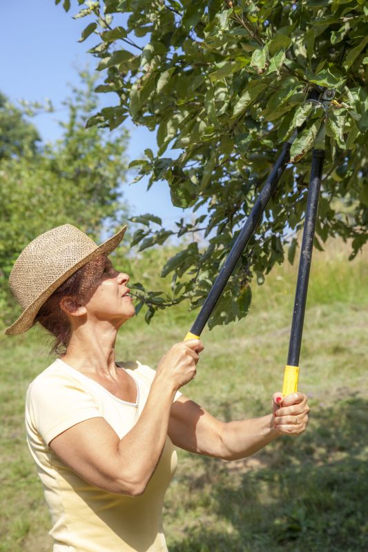 Orchard Tree Pruning in Doylestown, PA