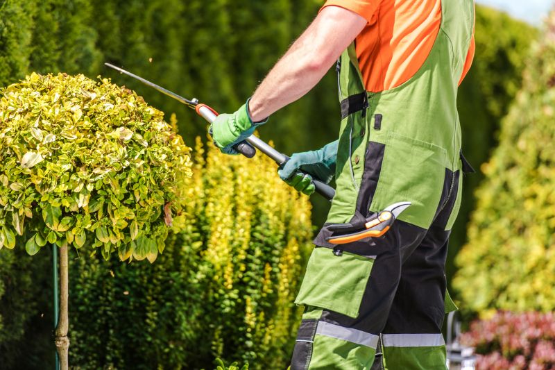Shrub Shaping in Rockwall, TX
