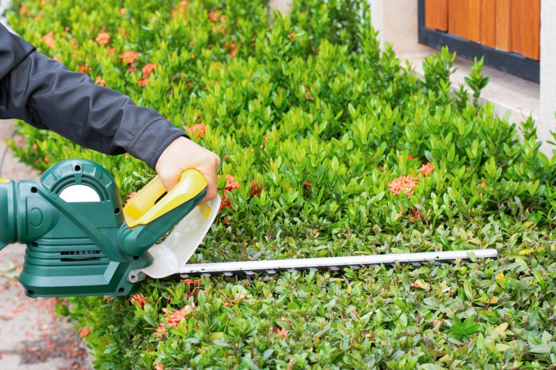 Shrub Trimming in Aiken, SC