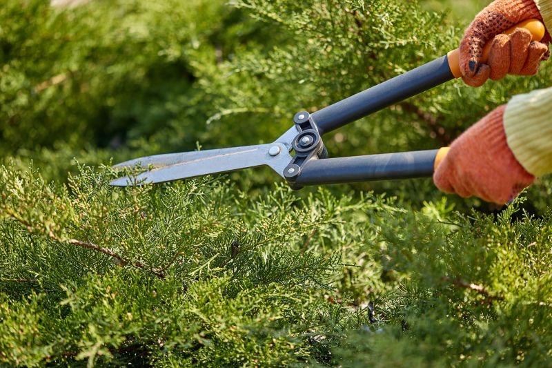 Shrub Trimming in Ventura County, CA