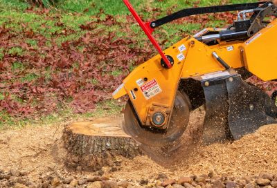 Stump Grinding Service in Waldorf, MD