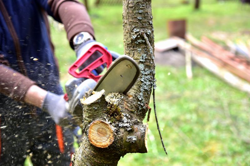 Tree Branch Cutting in Doylestown, PA