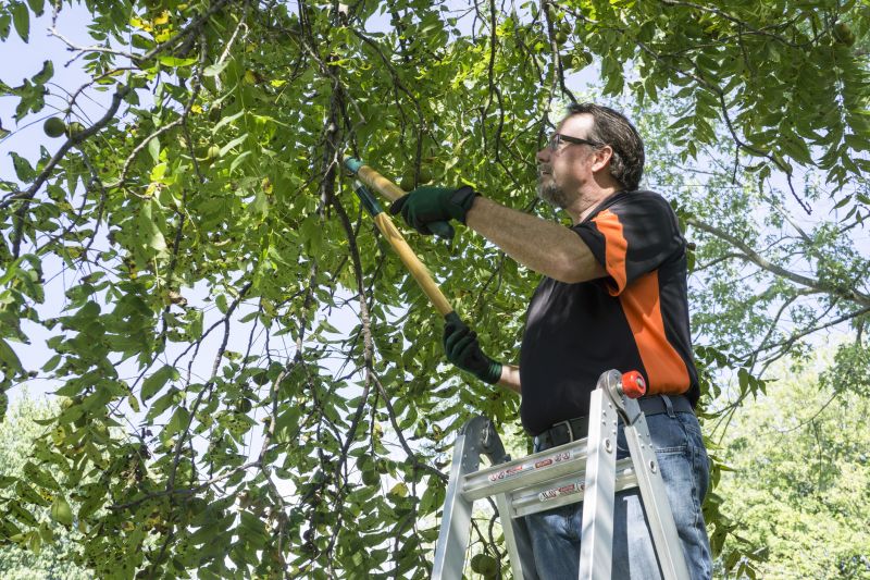 Tree Branch Cutting in Pottstown, PA