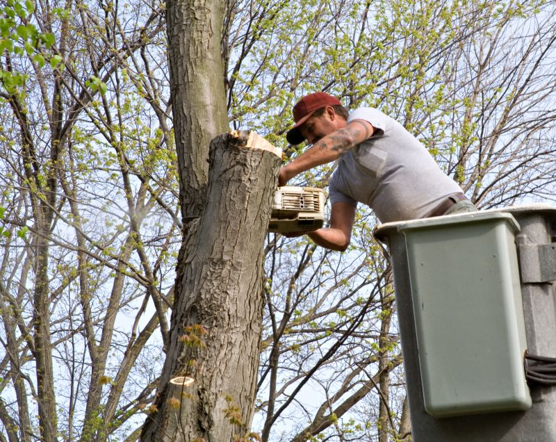 Tree Service in Pottstown, PA